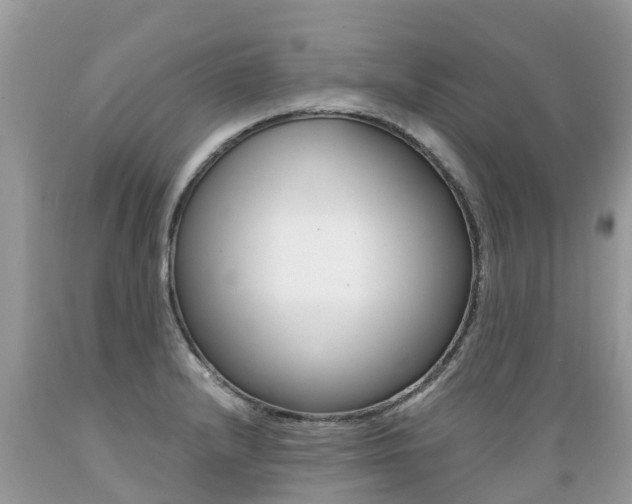 X0000089671232200706210745