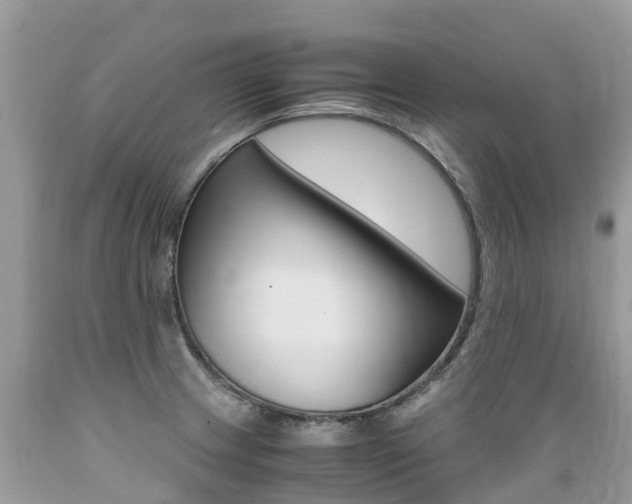 X0000089671233200706210745