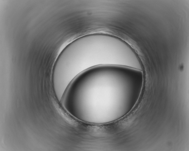 X0000089671234200706210745