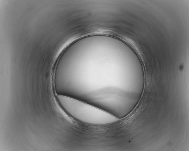 X0000089671235200706210745
