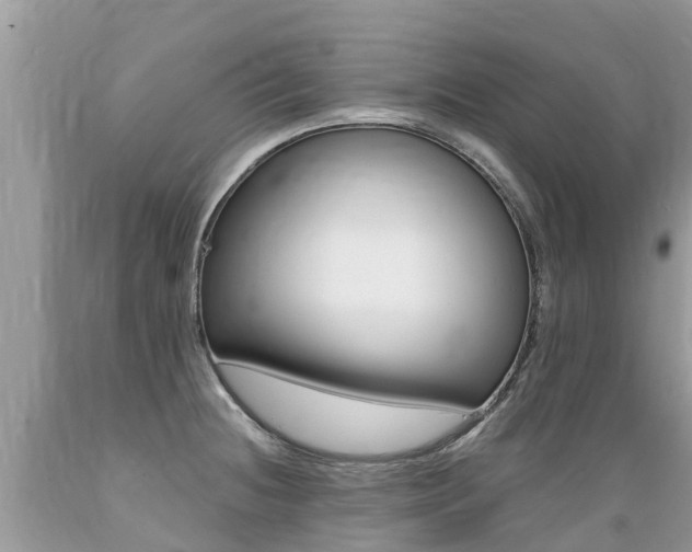 X0000089671236200706210745