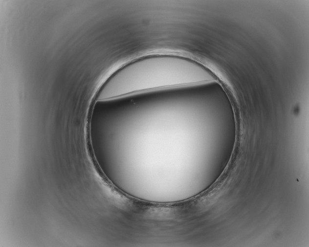 X0000089671237200706210745