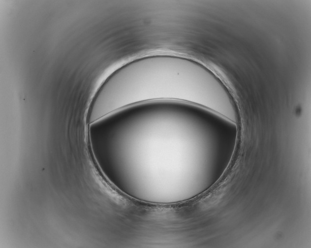 X0000089671238200706210745