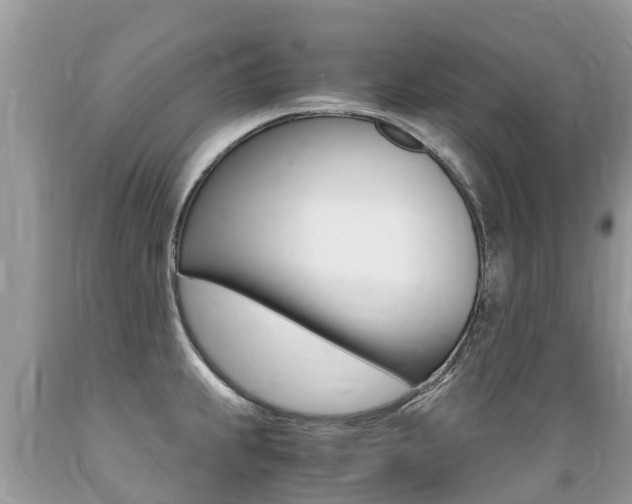 X0000089671239200706210745