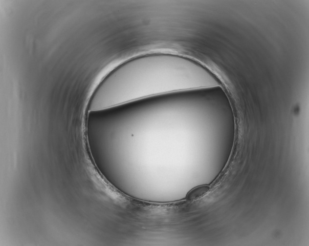 X0000089671240200706210745