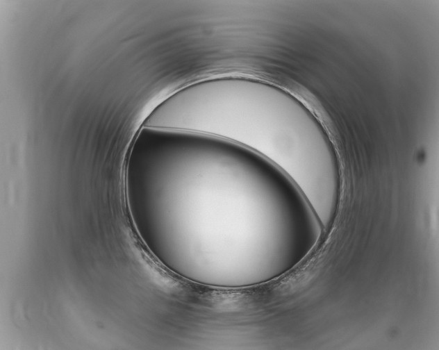 X0000089671242200706210745