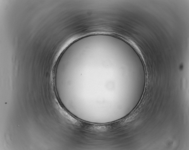 X0000089671243200706210745