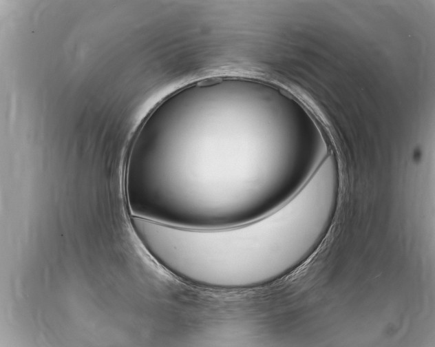 X0000089671246200706210746