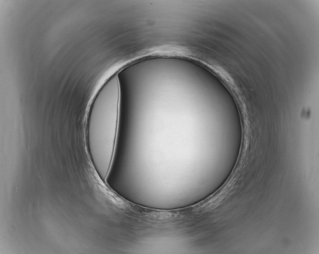 X0000089671248200706210746