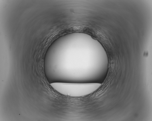 X0000089671249200706210745