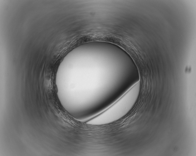 X0000089671250200706210745