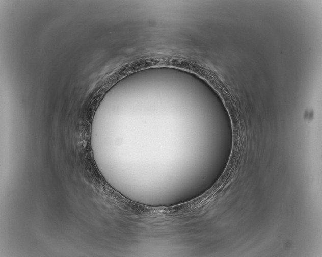 X0000089671253200706210745