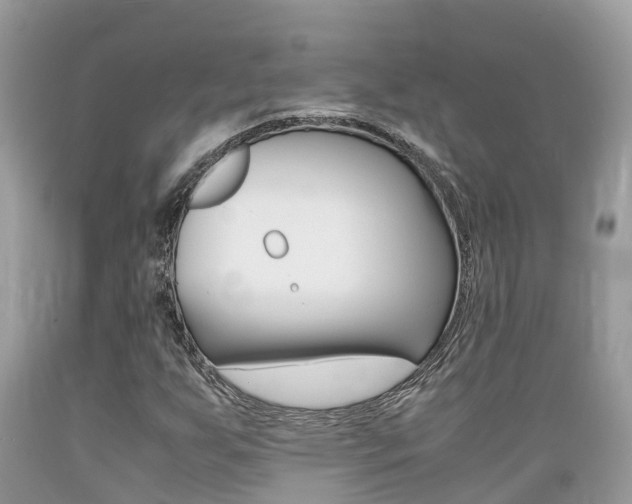 X0000089671255200706210745