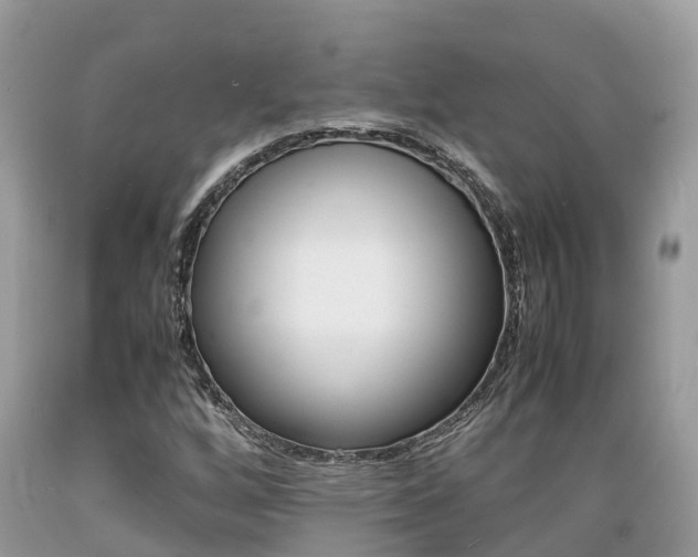 X0000089671256200706210745