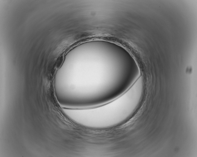 X0000089671257200706210745