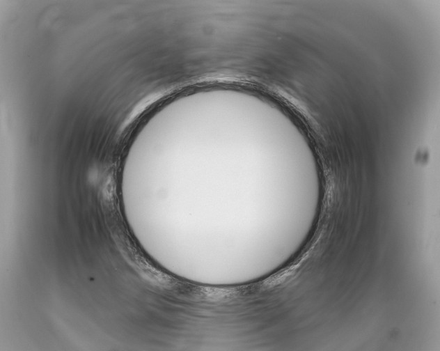 X0000089671258200706210745
