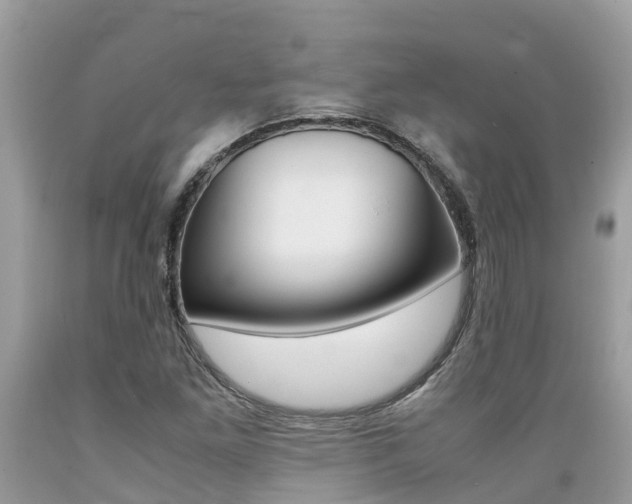 X0000089671261200706210745