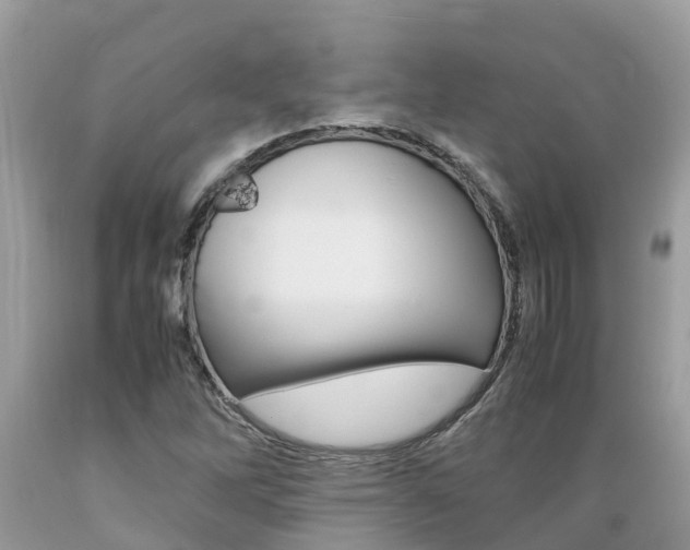 X0000089671262200706210745