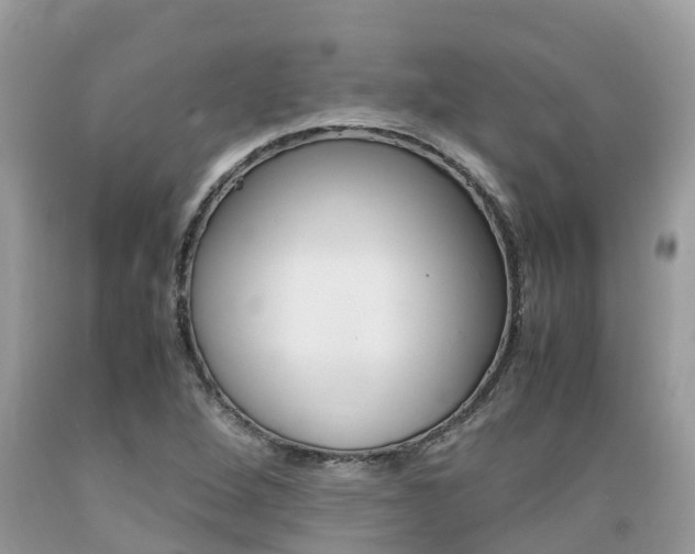 X0000089671264200706210745