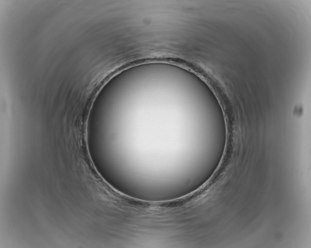 X0000089671265200706210745