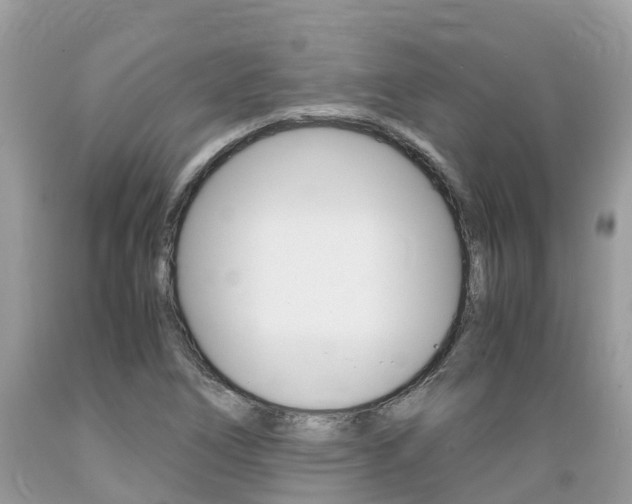 X0000089671266200706210745
