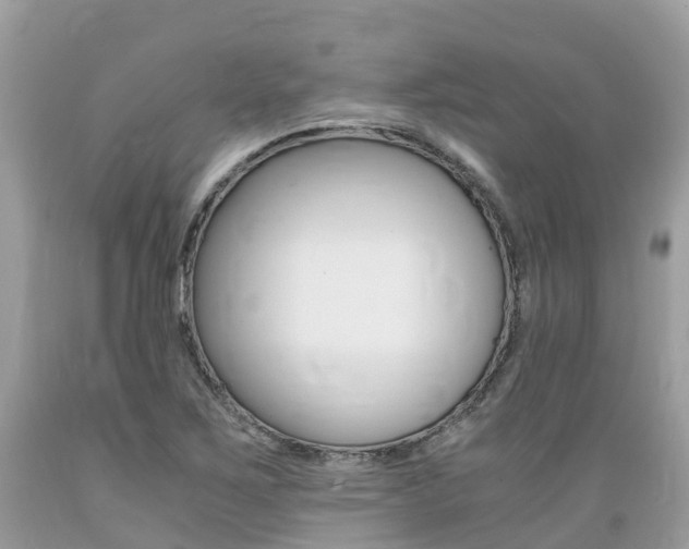 X0000089671267200706210745
