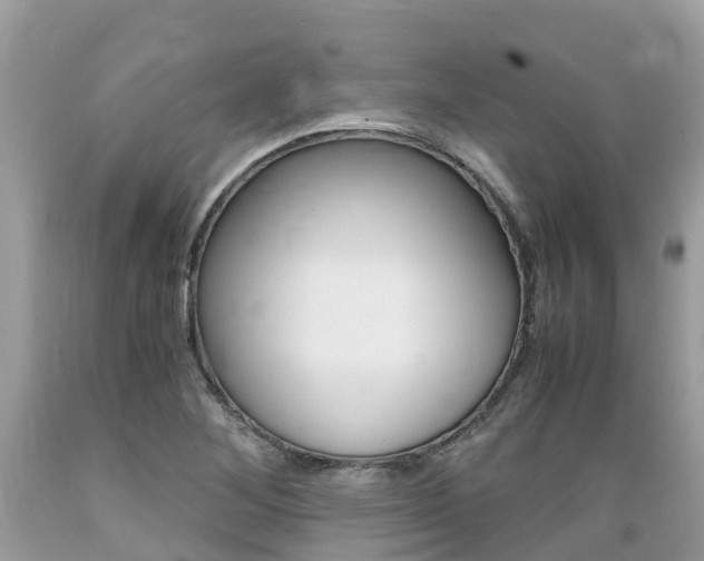 X0000089671268200706210745