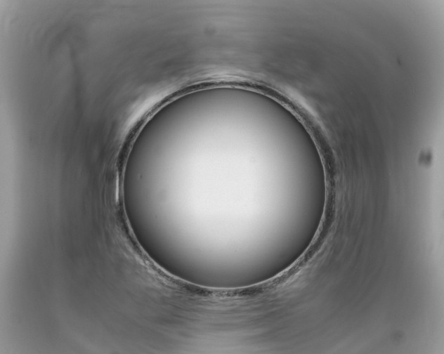 X0000089671269200706210745