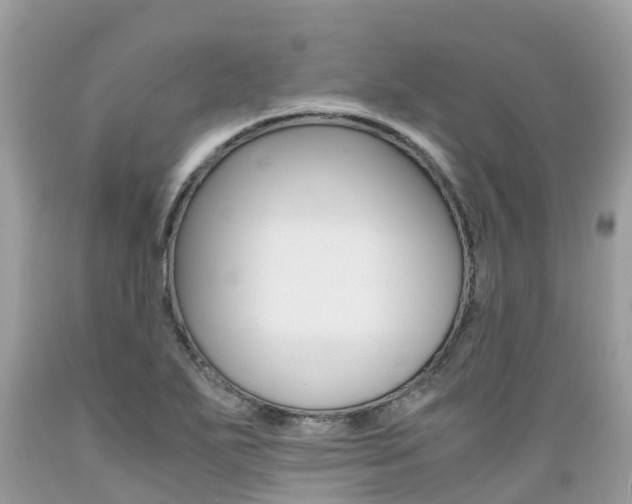 X0000089671271200706210745