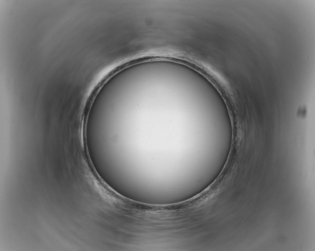 X0000089671272200706210745