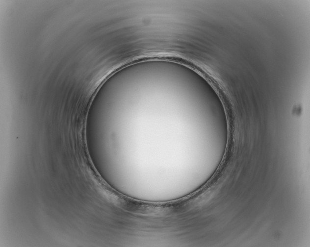 X0000089671273200706210745