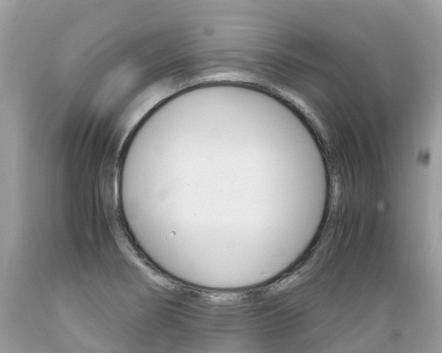 X0000089671274200706210745