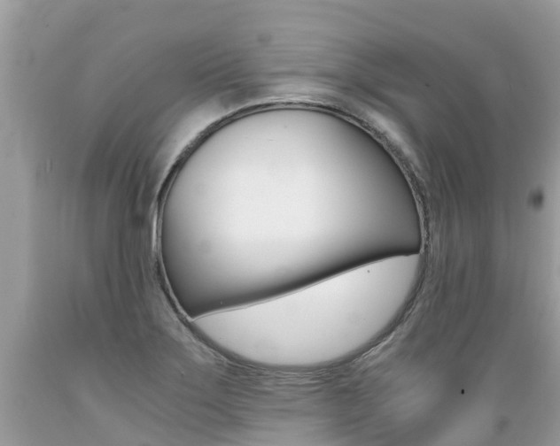 X0000089671275200706210745