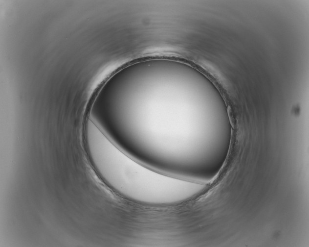 X0000089671277200706210745