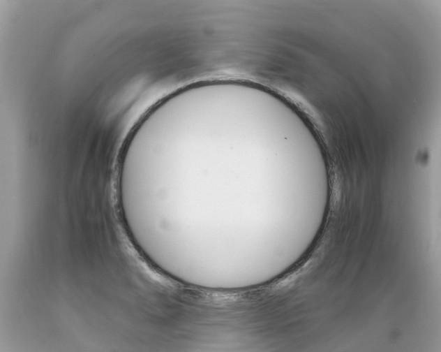 X0000089671278200706210744
