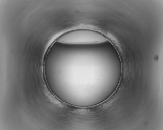 X0000089671280200706210744