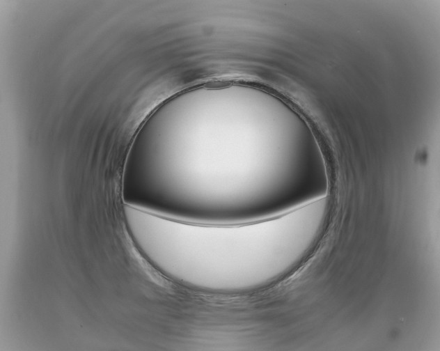 X0000089671281200706210744