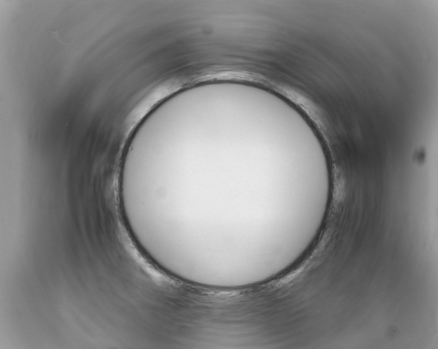 X0000089671282200706210744