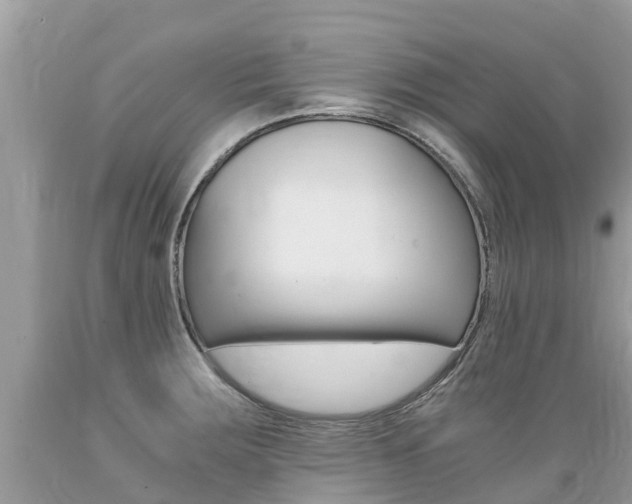 X0000089671283200706210744