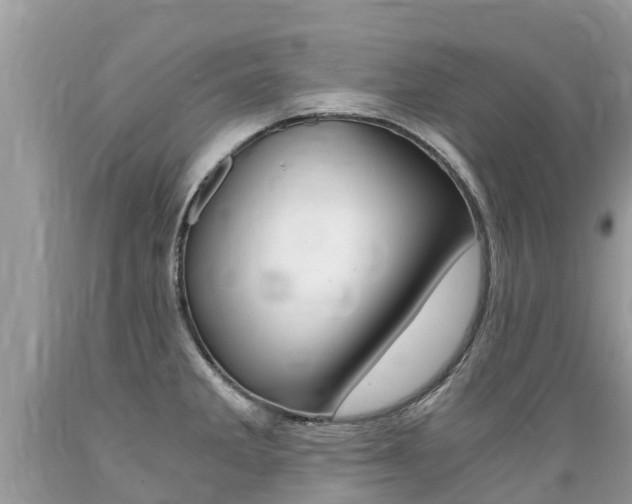 X0000089671285200706210744