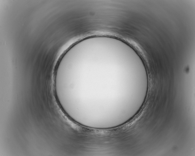 X0000089671286200706210744