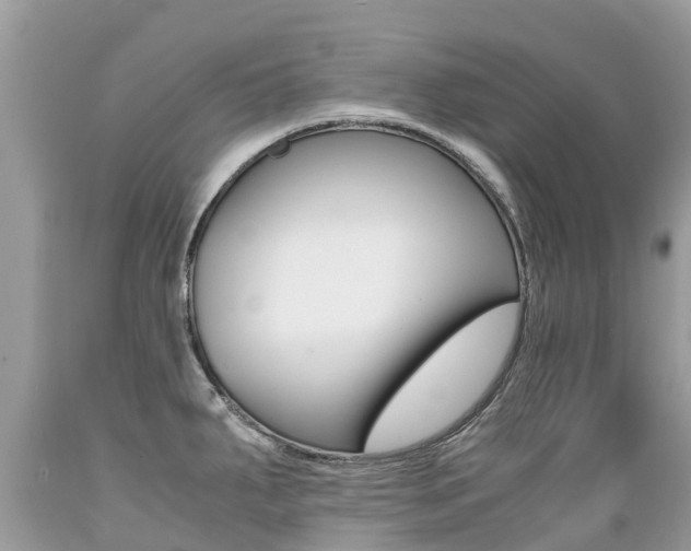 X0000089671287200706210744