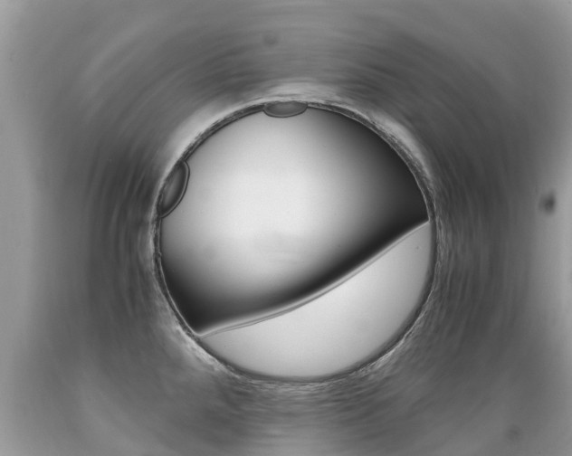 X0000089671288200706210744