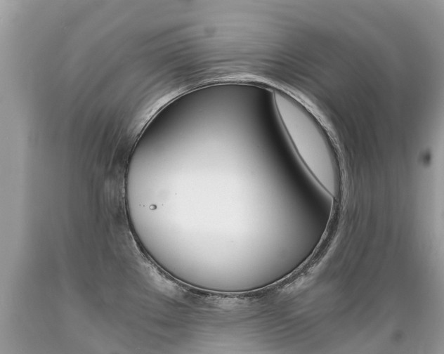 X0000089671289200706210744