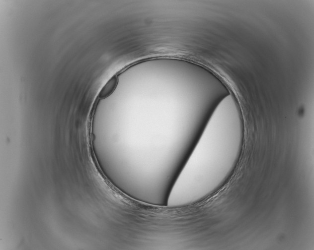 X0000089671291200706210744
