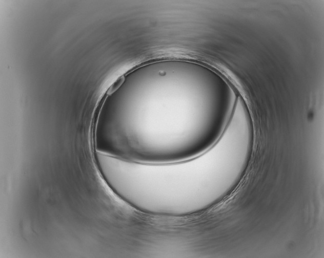 X0000089671293200706210744