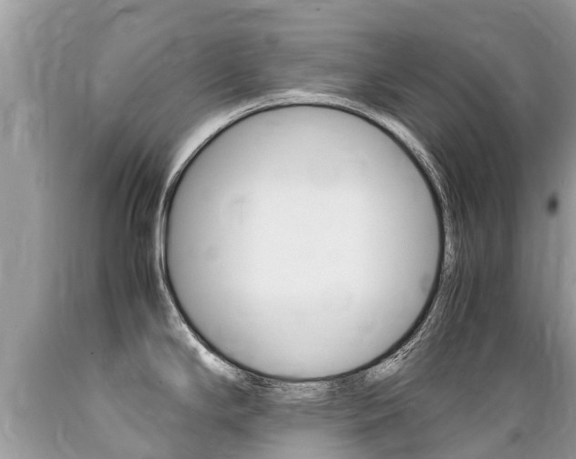 X0000089671294200706210744