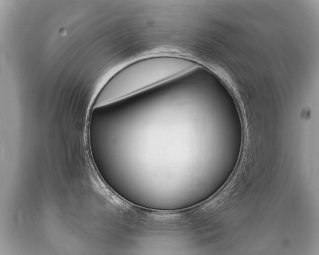 X0000089671296200706210744