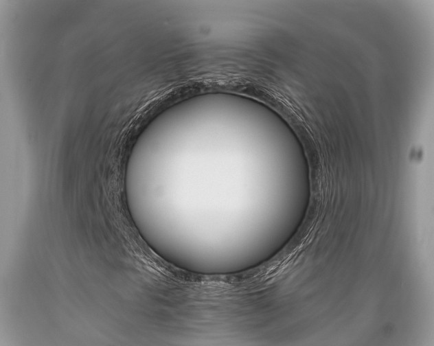 X0000089671297200706210743