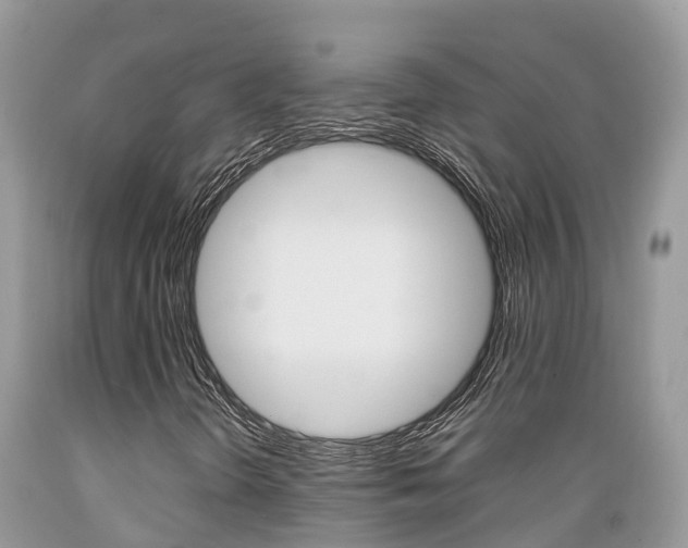 X0000089671298200706210743
